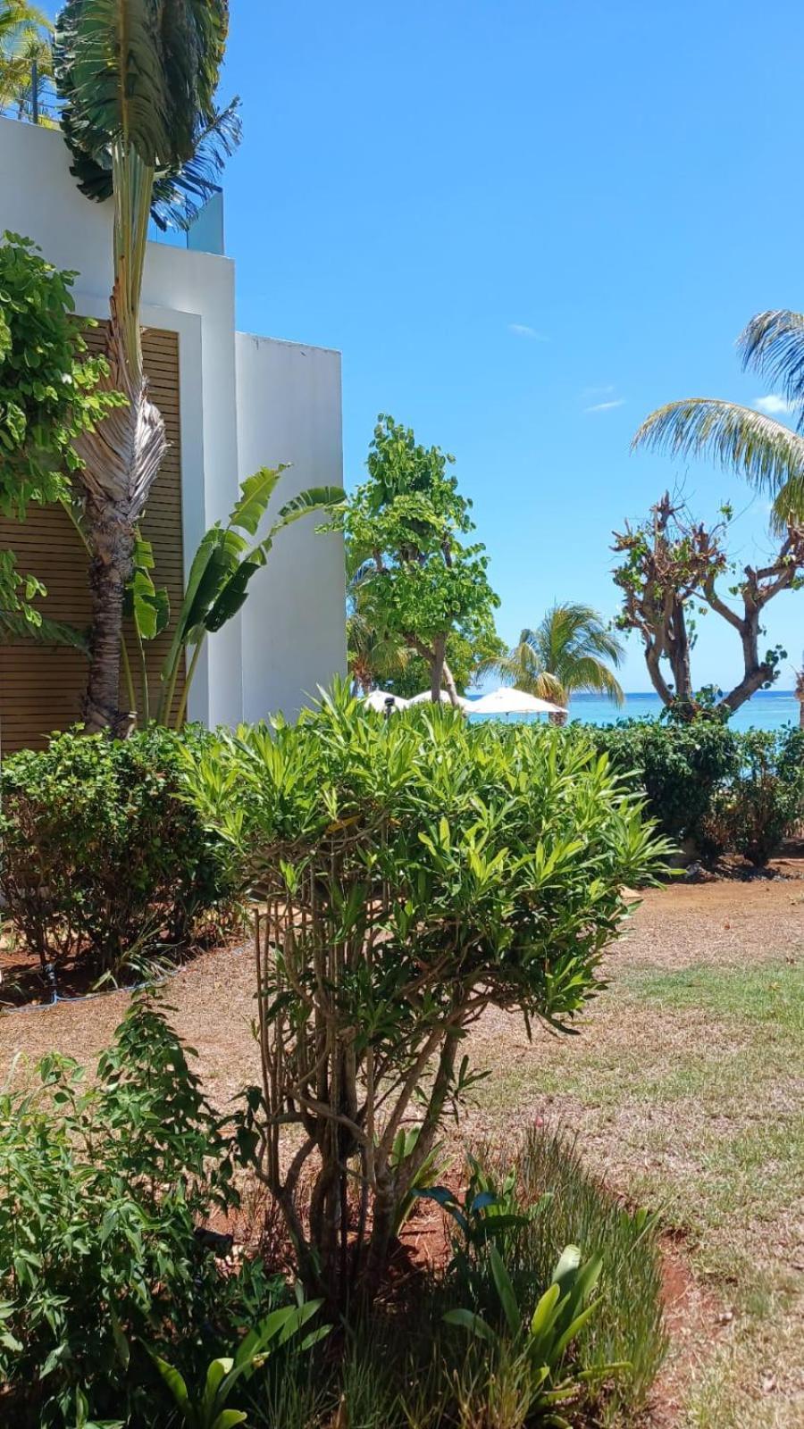 Cap Ouest Luxury Beachfront Flic en Flac Exterior photo